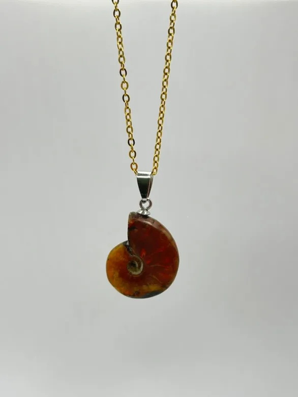 Collier Ammonite